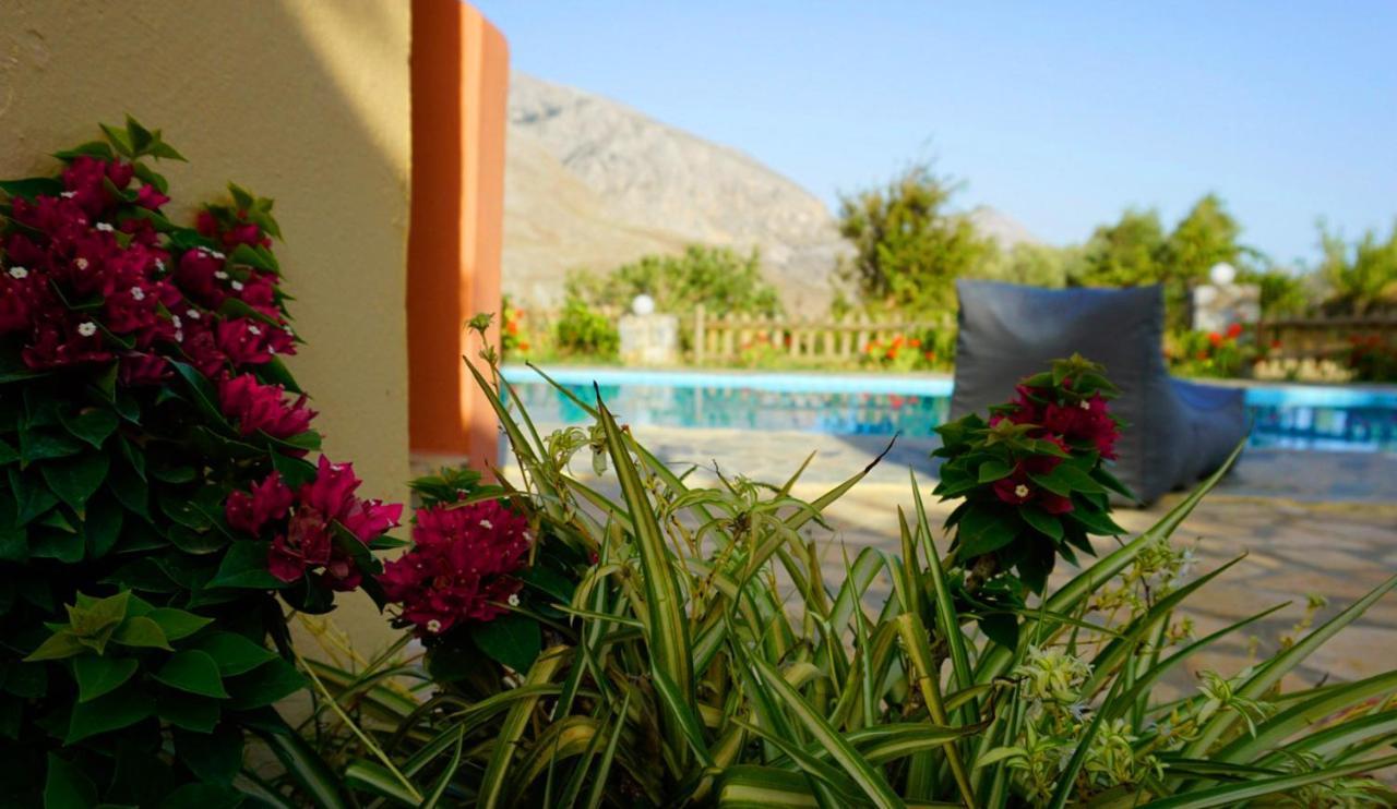 Villa Despina 1 Plakias Private Villa, Private Swimming Pool Garden,Amazing View 莱弗考基亚 外观 照片